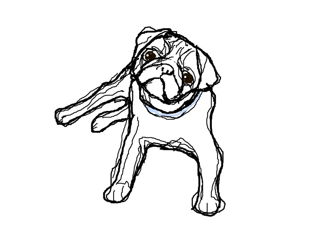 1024x768 The World's Best Photos Of Pug And Sketch
