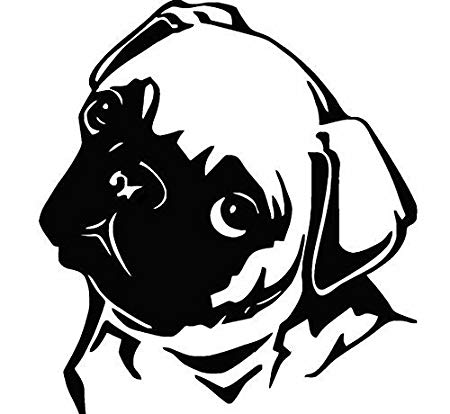 450x414 Cute Pug Face