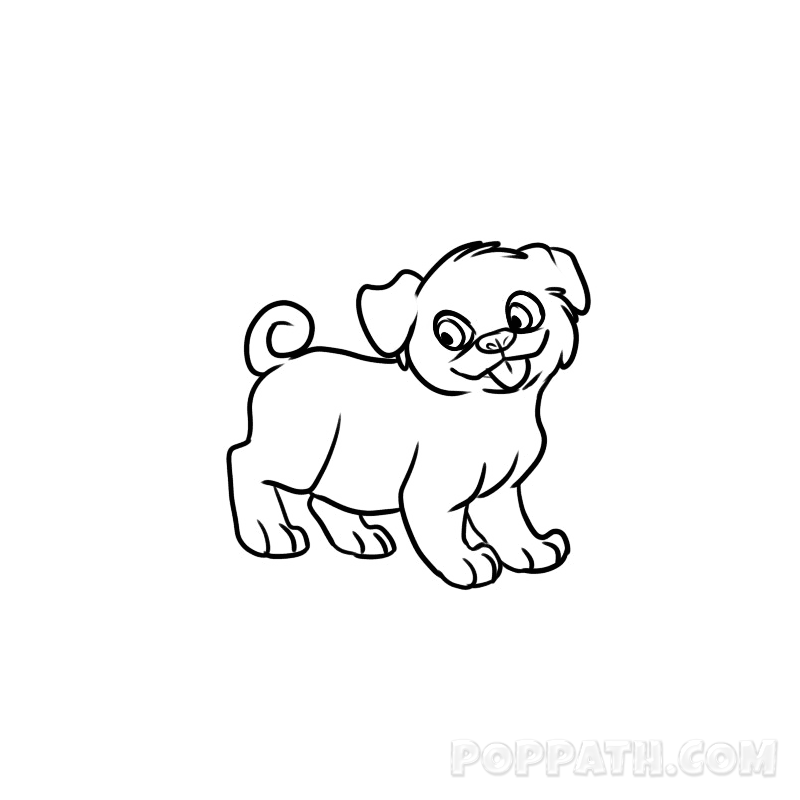 800x800 How To Draw A Pug Pop Path