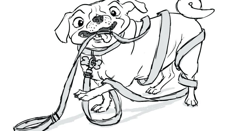960x544 Pug Coloring Pages
