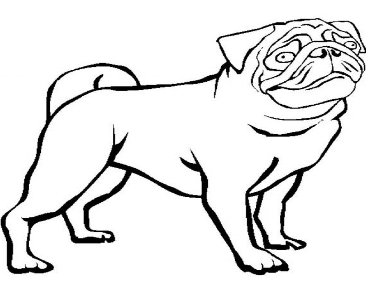 Pug Line Drawing | Free download on ClipArtMag