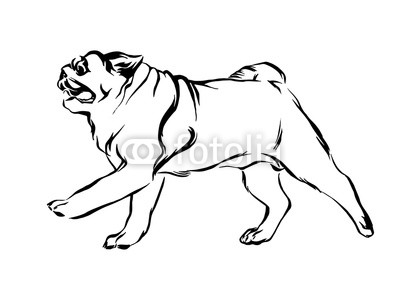 400x300 Hand Drawn Running Pug Puppy Dog Vector Sketch Black Isolated