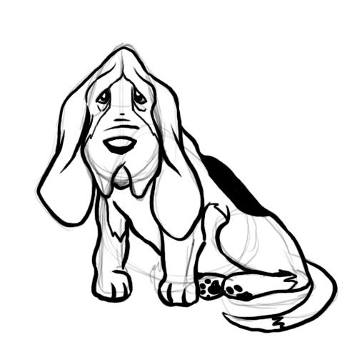 500x500 draw a basset hound dog drawings basset hound, dog outline