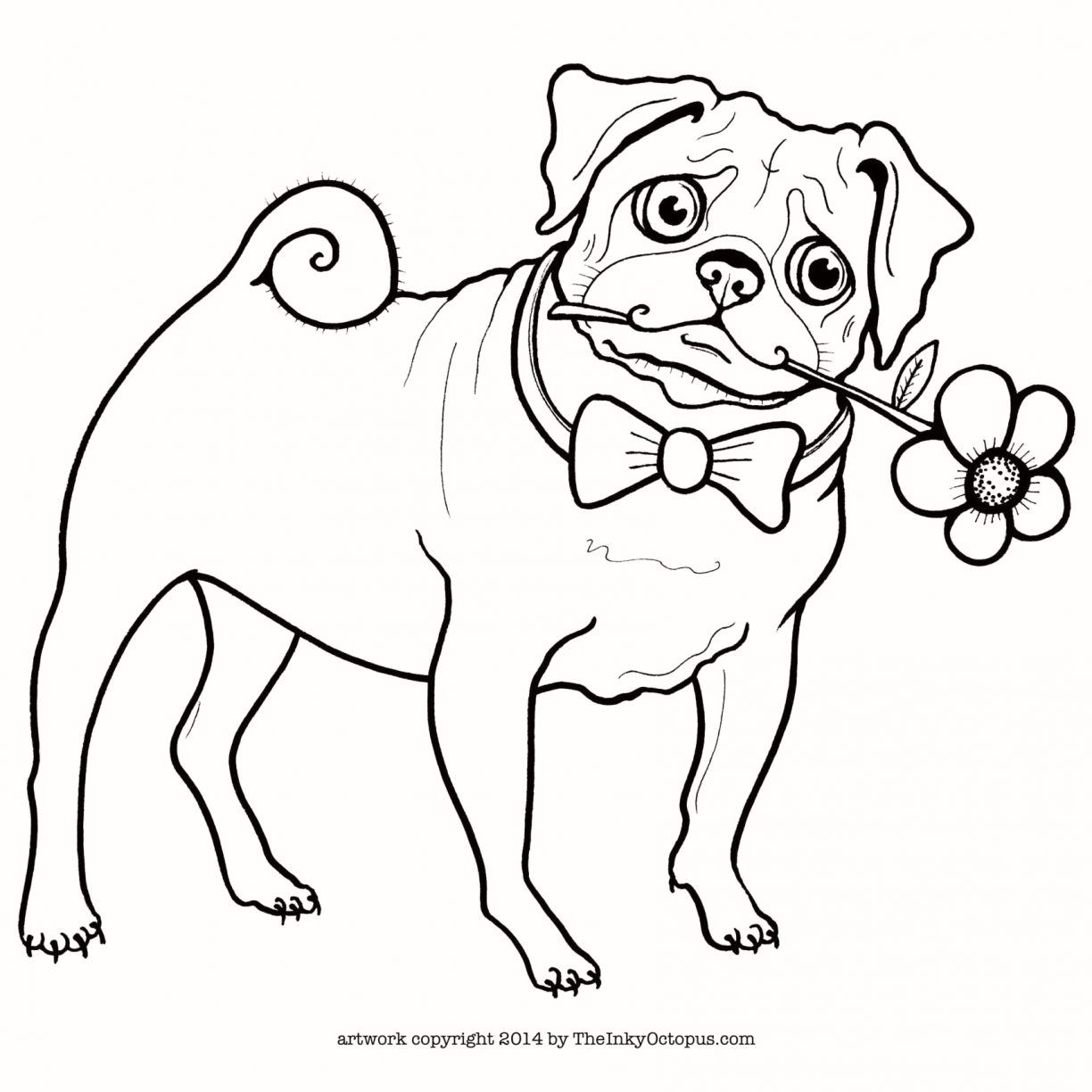 1224x1224 Pug Puppy Coloring Pages Colouring Outline Drawing At Getdrawings