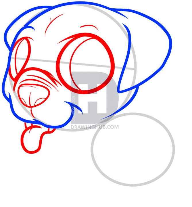 668x720 How To Draw A Pug Puppy, Pug Puppy, Step