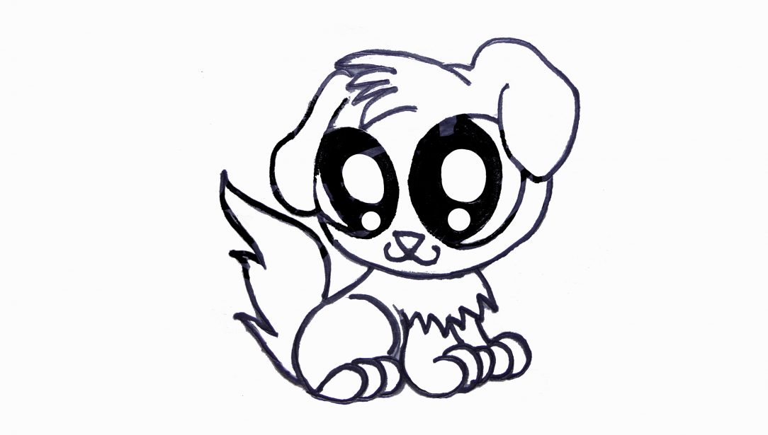 1084x615 How To Draw A Realistic Pug Puppy Step