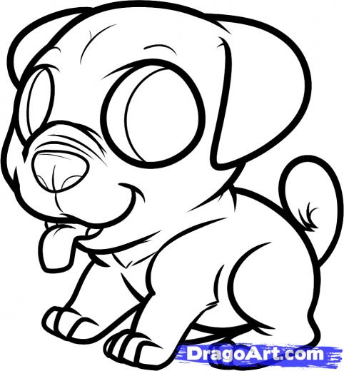 482x520 Step How To Draw A Pug Puppy, Pug Puppy