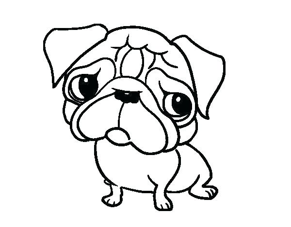 600x470 Coloring Pages Pug Puppy
