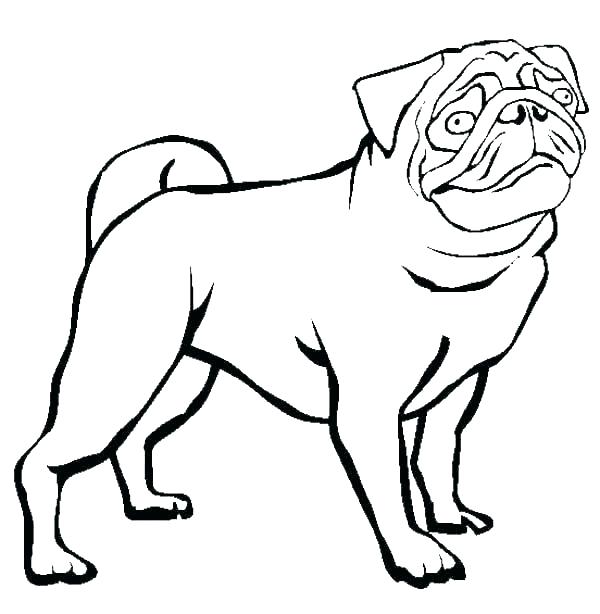 600x614 Pug Coloring Pages To Print Hashclub