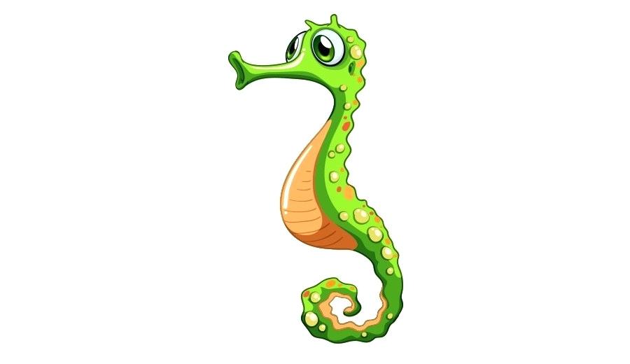 900x520 drawing of a seahorse seahorse seahorse colour drawing