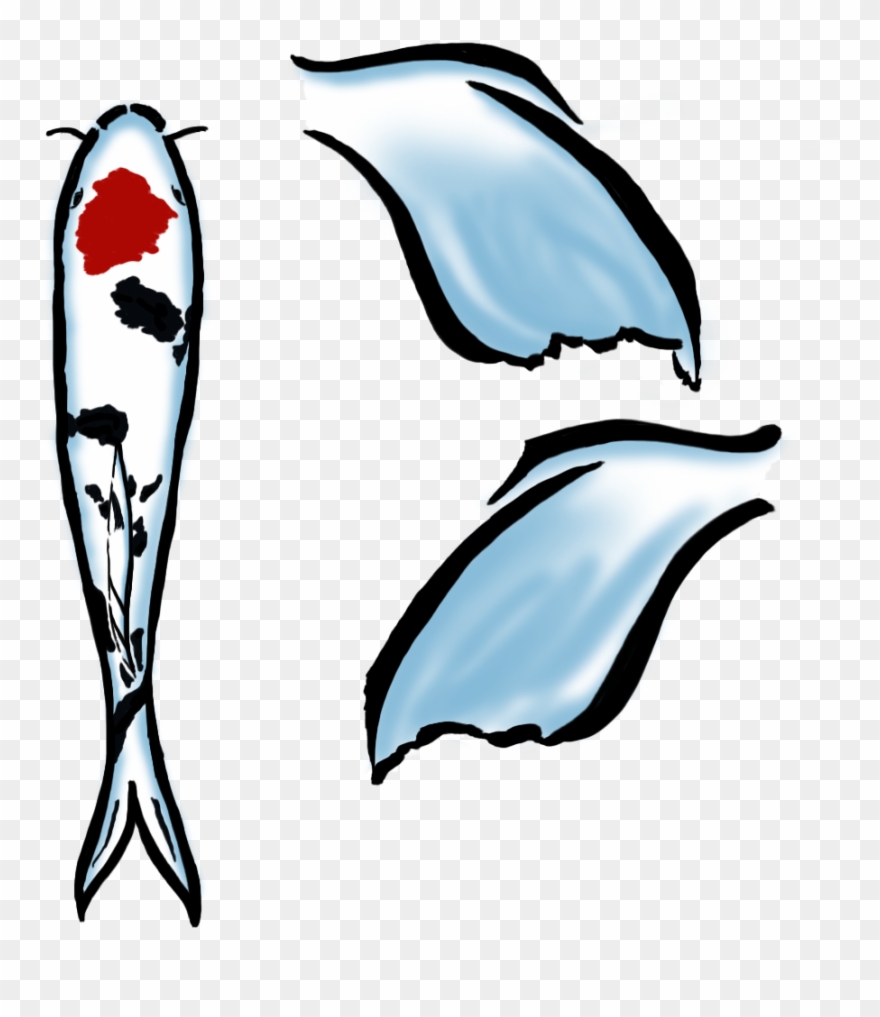 880x1017 Tweet Painting Fish Textures