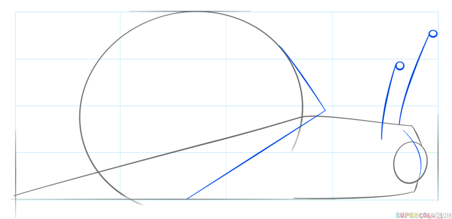 900x437 How To Draw A Snail Step