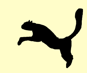 300x250 Puma Drawing