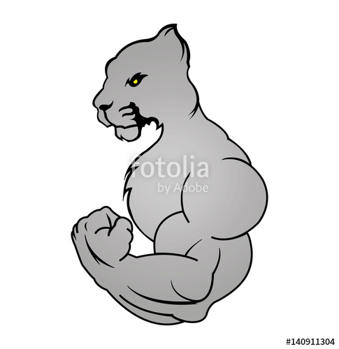 485x500 Strong Jaguar Puma Stock Image And Royalty Free Vector