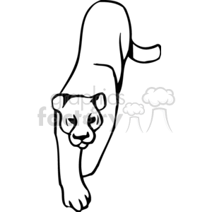 300x300 black and white puma walking on all fours clipart royalty free