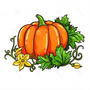 300x300 Stock Illustration Pumpkin Vector Drawing Cartoon Vegetable Leaves