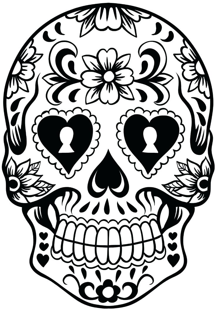 736x1055 Sugar Skull Simple Template Designs For Pumpkins