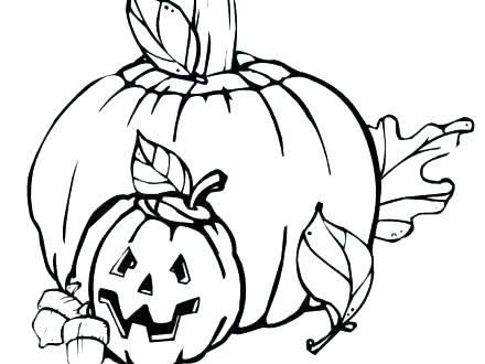 440x330 Pumpkin Pictures To Color For Kids