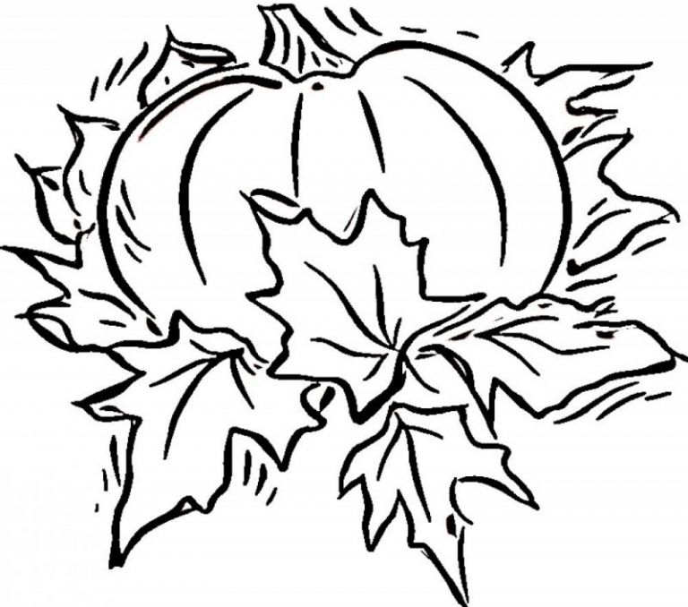 768x678 Free Printable Coloring Pages Pumpkins Luxury Halloween Pumpkin
