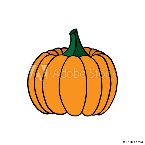 500x500 Orange Pumpkin, Vector Illustration Hand Drawing, Halloween