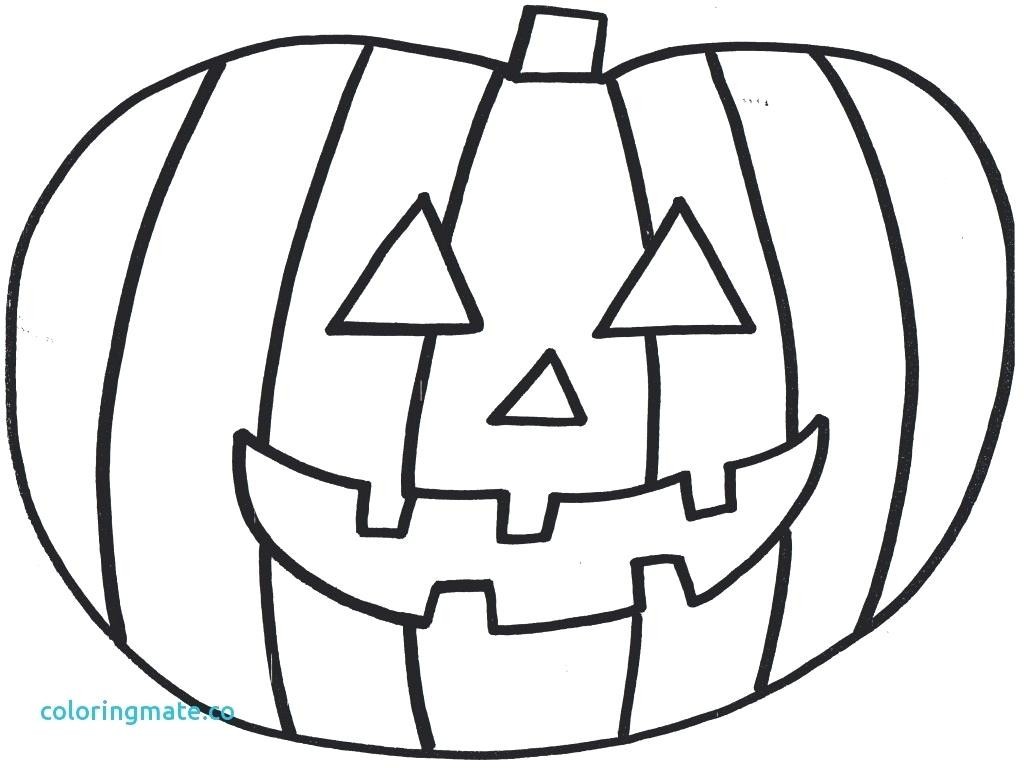1024x768 Huge Collection Of 'pumpkin Drawing Pages' Download More Than