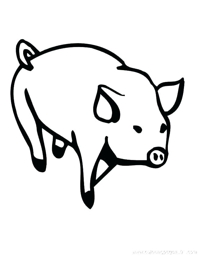 650x840 Pig Template Animal Templates Free Premium Stencil Funny Coloring
