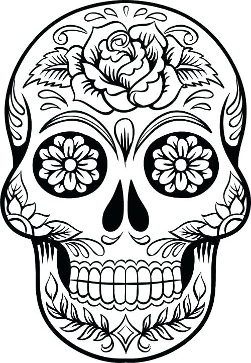 500x722 Sugar Skull Drawing Template At Free For Personal Mini Pumpkin