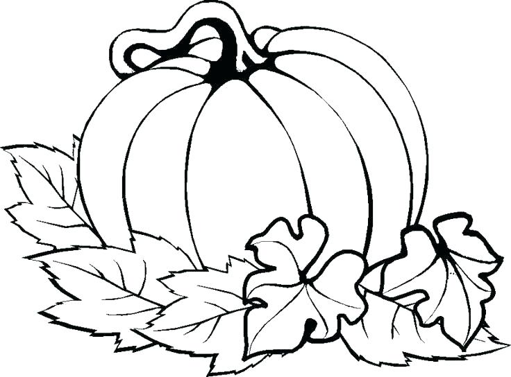 Pumpkin Drawing Patterns | Free download on ClipArtMag