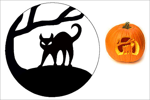480x320 Halloween Cat Pumpkin Stencils For A Spooky Halloween Band
