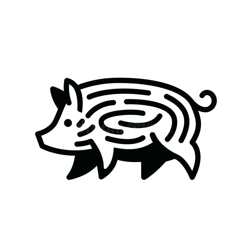800x800 Pig Stencil Template Linear Black Drawing Of Swine Stock Vector
