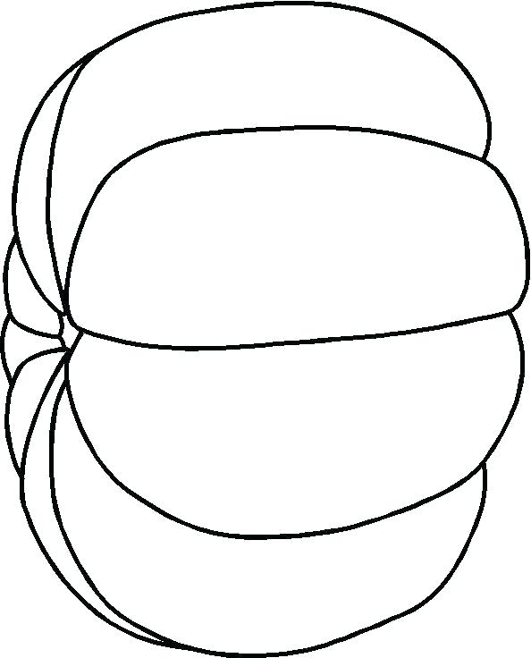 594x736 Pumpkin Coloring Template Printable Pumpkin Faces Free Pumpkins