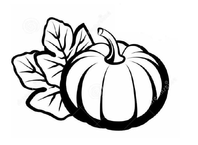 Pumpkin Leaf Drawing | Free download on ClipArtMag