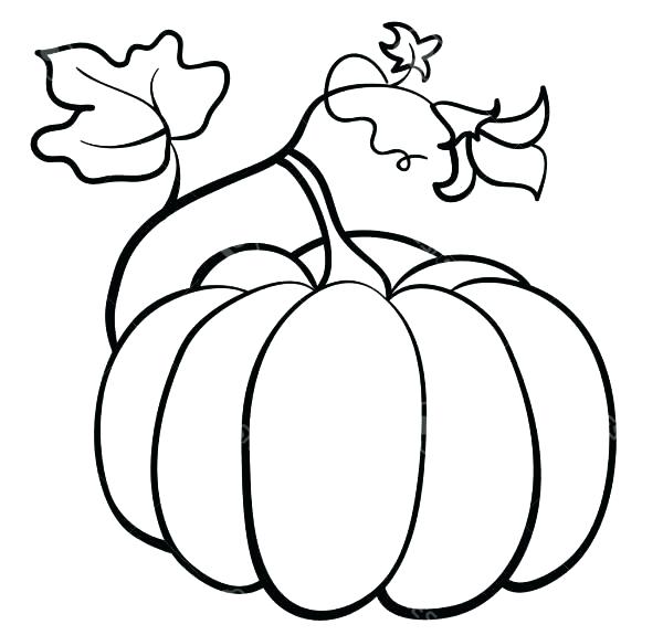 Pumpkin Leaf Drawing | Free download on ClipArtMag