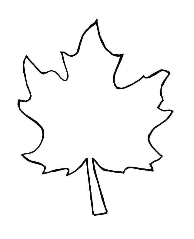 640x789 Coloring Pages Leaves