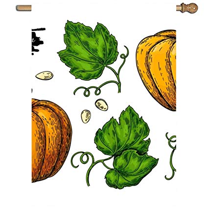 425x425 Calibre Life Garden Flag Pumpkin Drawing Set Isolated