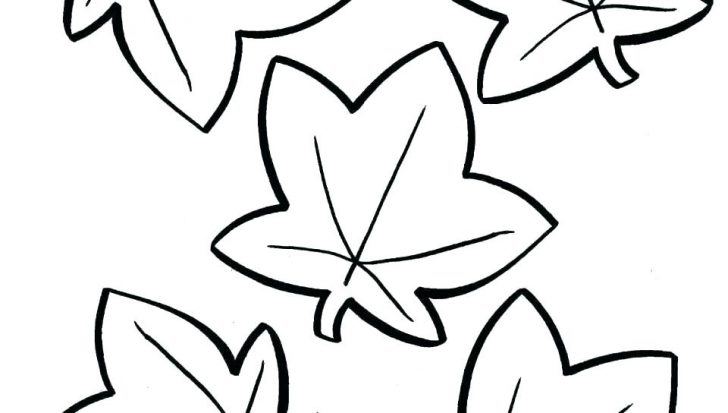 728x413 Coloring Pages Of Leaves Free Printables Pumpkin Leaf Template
