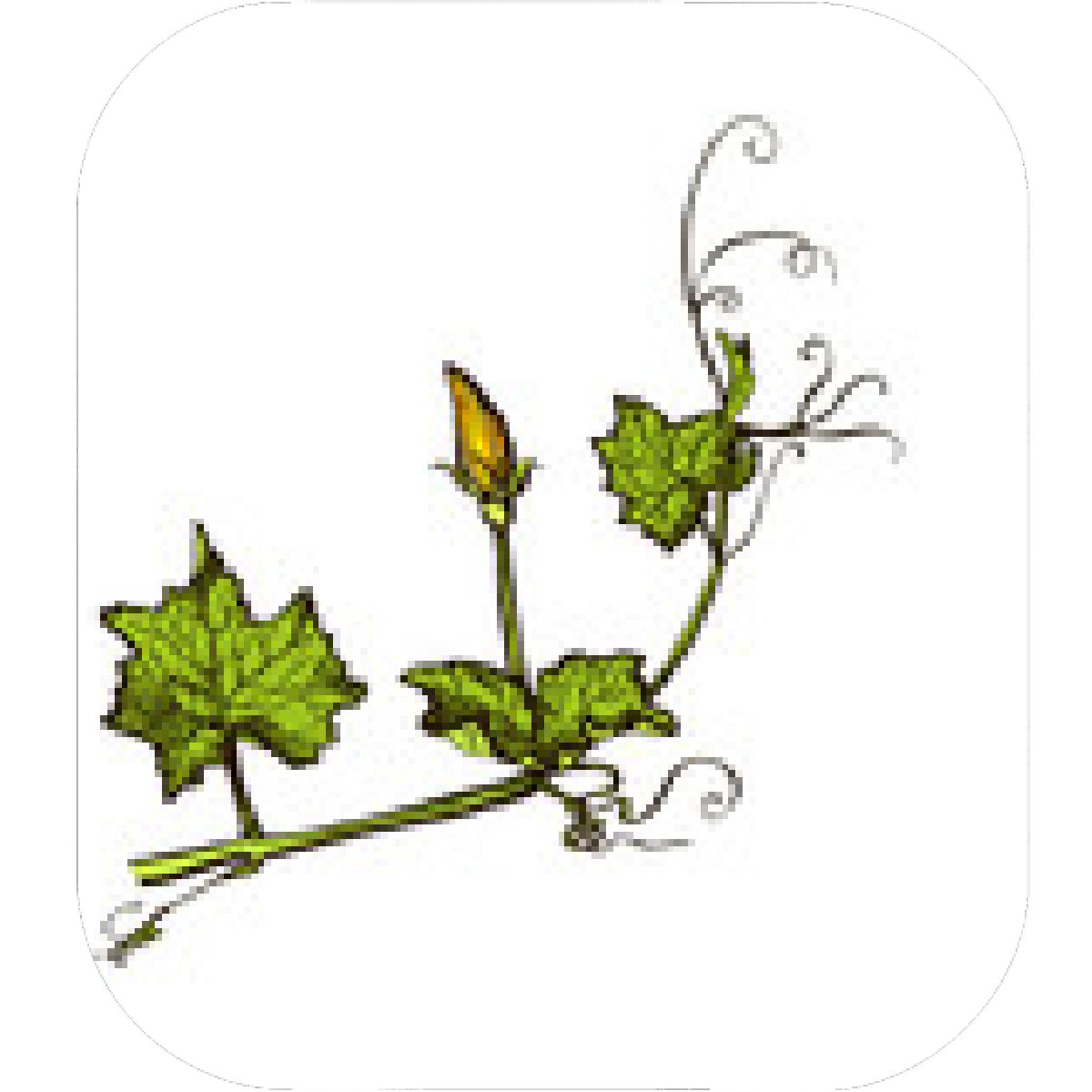 1200x1200 Designs Mein Mousepad Design Mousepad Selbst Designen