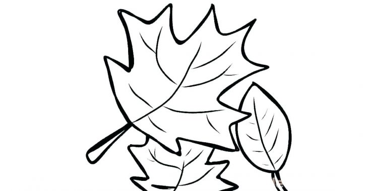 Pumpkin Leaves Drawing | Free download on ClipArtMag