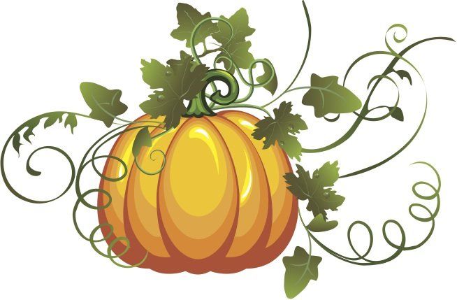 654x429 Gourds Pumpkin Vine, Vine Drawing