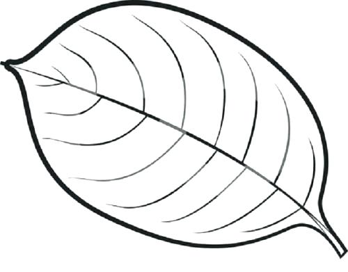 500x391 Pumpkin Leaves Coloring Pages