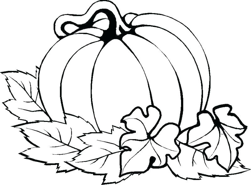 800x592 Pumpkin Coloring Pages For Toddlers Pumpkin Leaves Coloring Pages