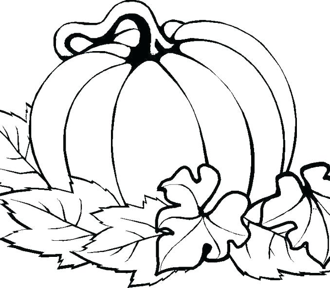 678x592 Pumpkin Patch Coloring Pages Fresh Best Fall Parable Sheet