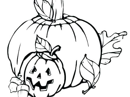 440x330 Coloring Pumpkin Pages Pumpkin Coloring