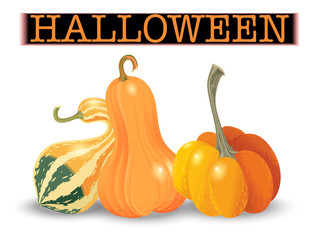 320x240 Hand Drawn Smiling Pumpkin Isolated On White Background Pencil