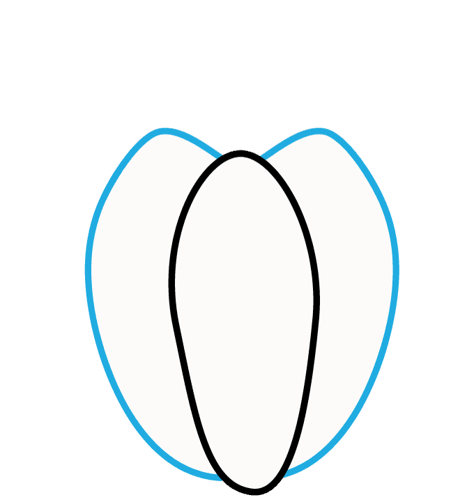 680x721 How To Draw A Pumpkin Easy Drawing Guides