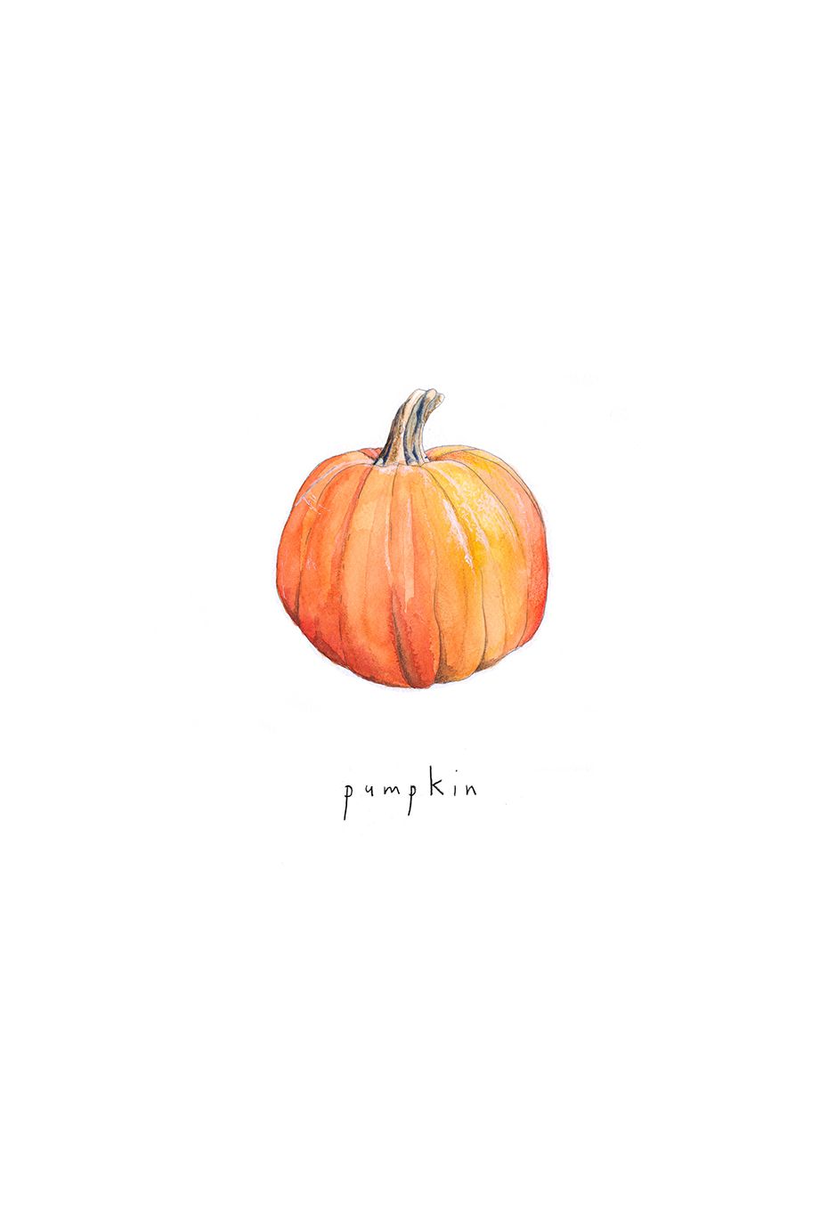 930x1360 Pumpkin Illustration
