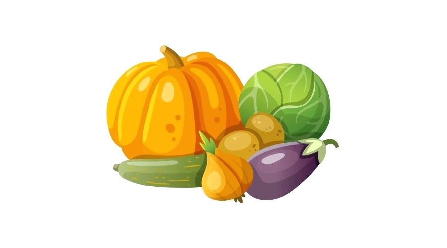 900x500 Pumpkin Cartoon Pictures Pumpkin Cartoon Gourd Vegetable Drawing