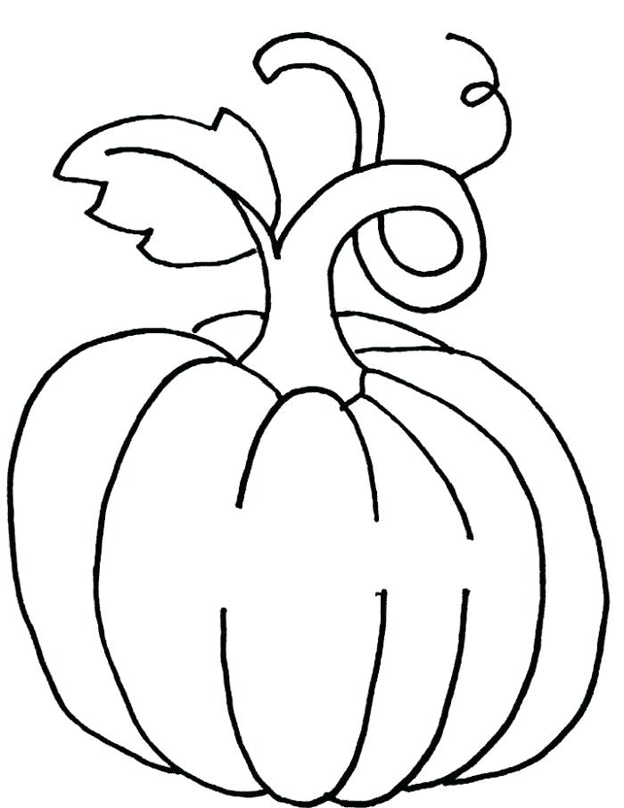 Pumpkin Plant Drawing | Free download on ClipArtMag