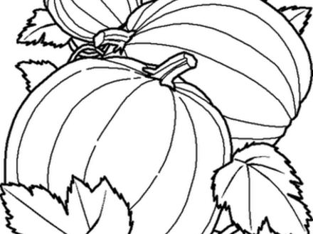 440x330 Big Pumpkin Coloring Page, Best Pumpkin Coloring Pages Ideas