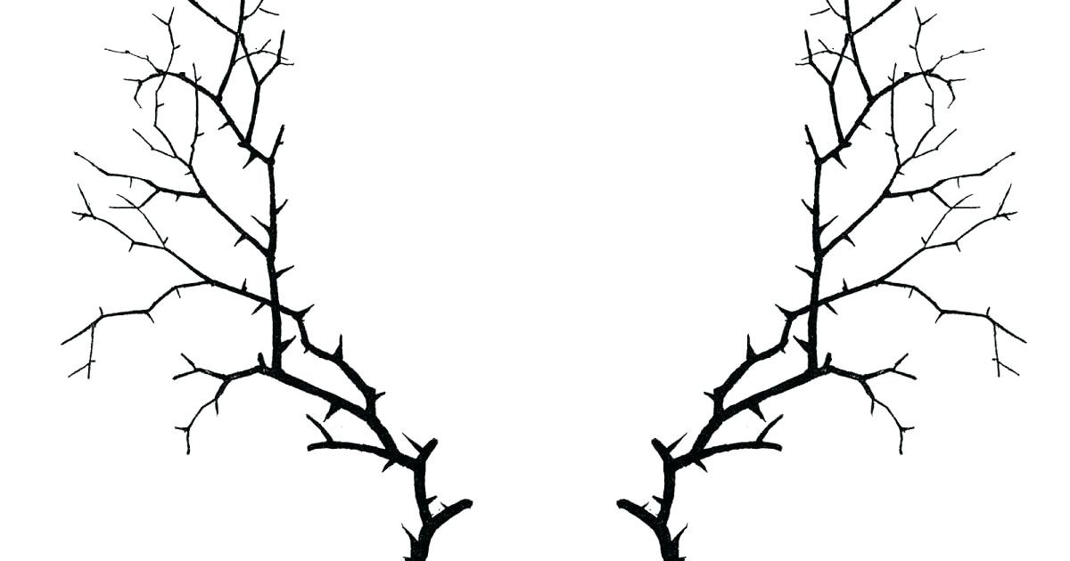 1200x630 Pumpkin Vine Coloring